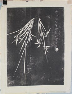 Image description is not available for DU1972.633